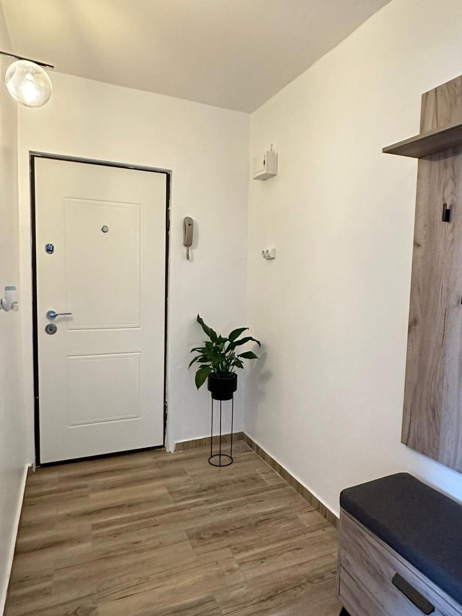 Lili Apartment Timisoara